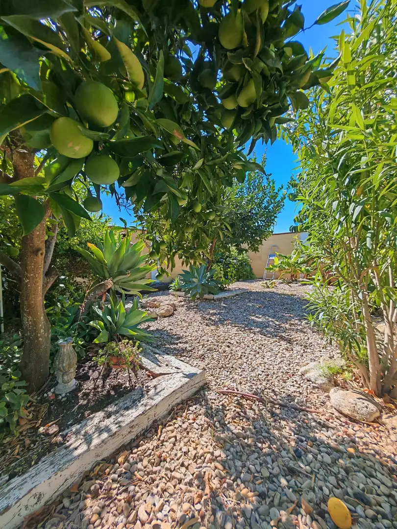 Detached house with pool for sale in Pelagatos - Pago del Humo, imagen 33