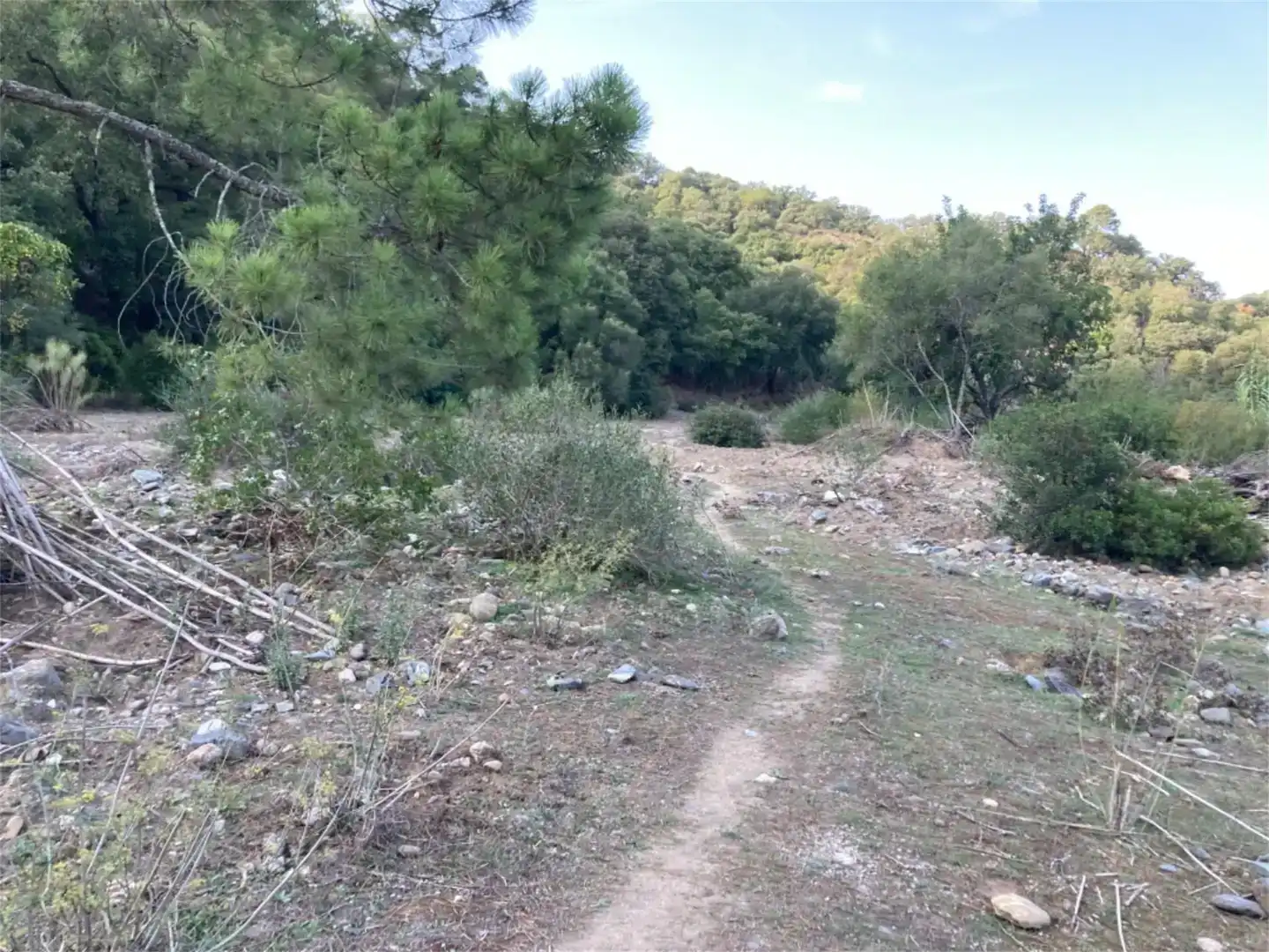 Land for sale in Benarrabá