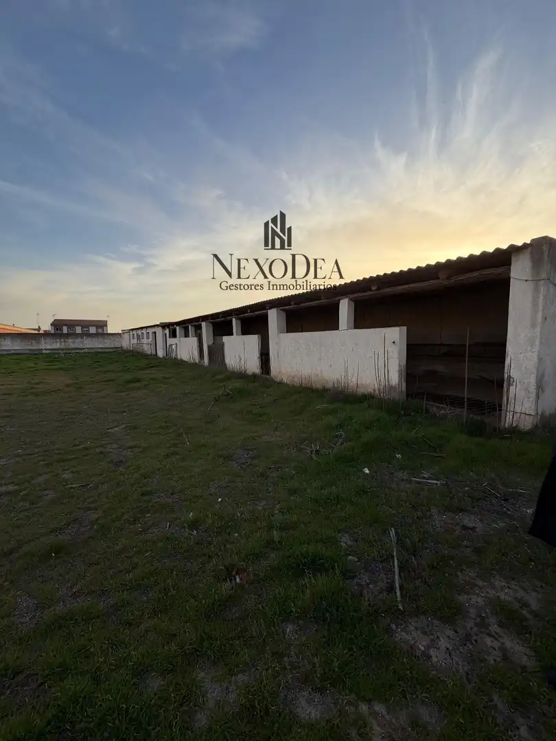 Terreno rustico in vendita a Magdalena, imagen 4