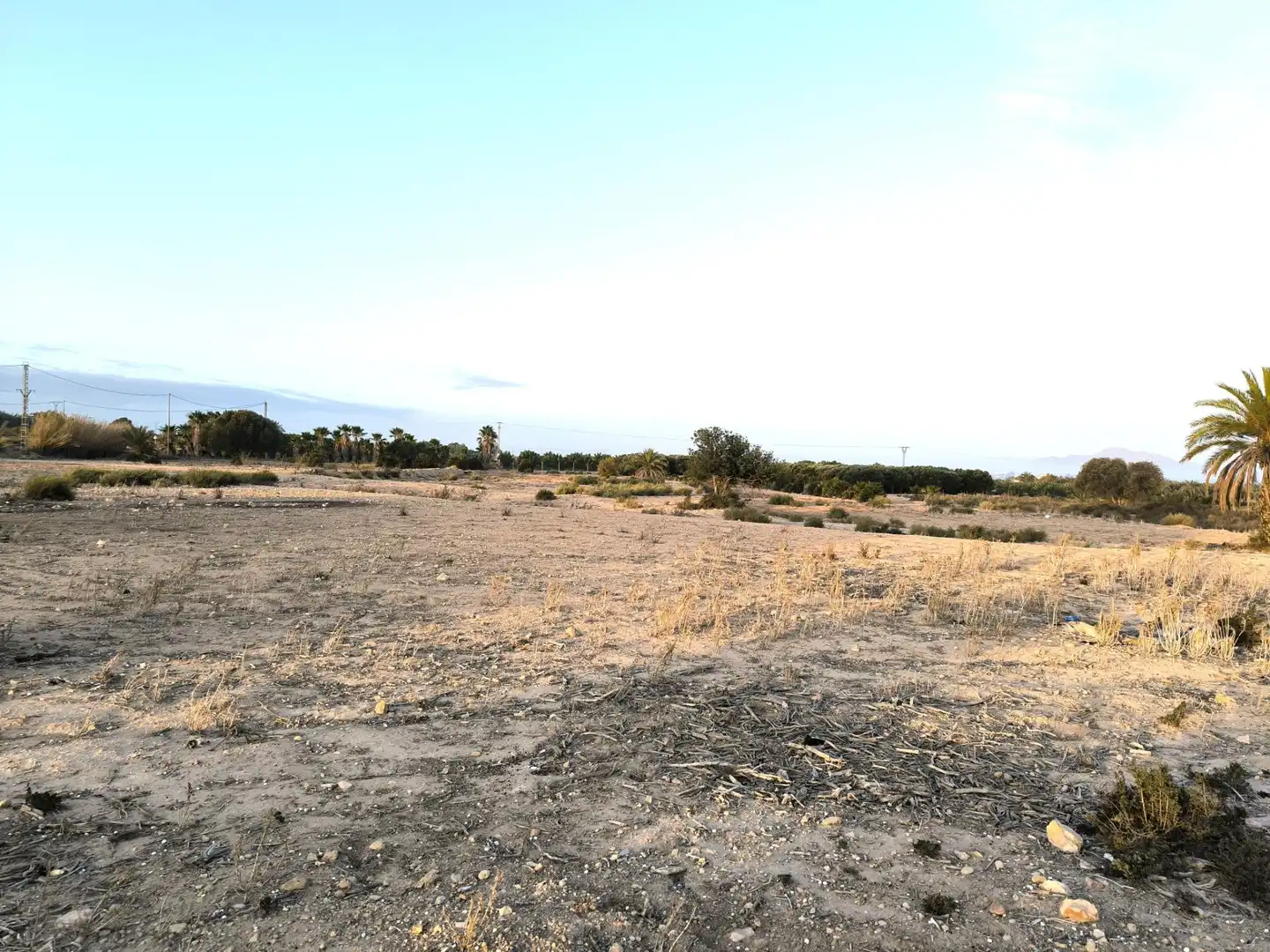 Terrain rustique à vendre à La Marina, imagen 9
