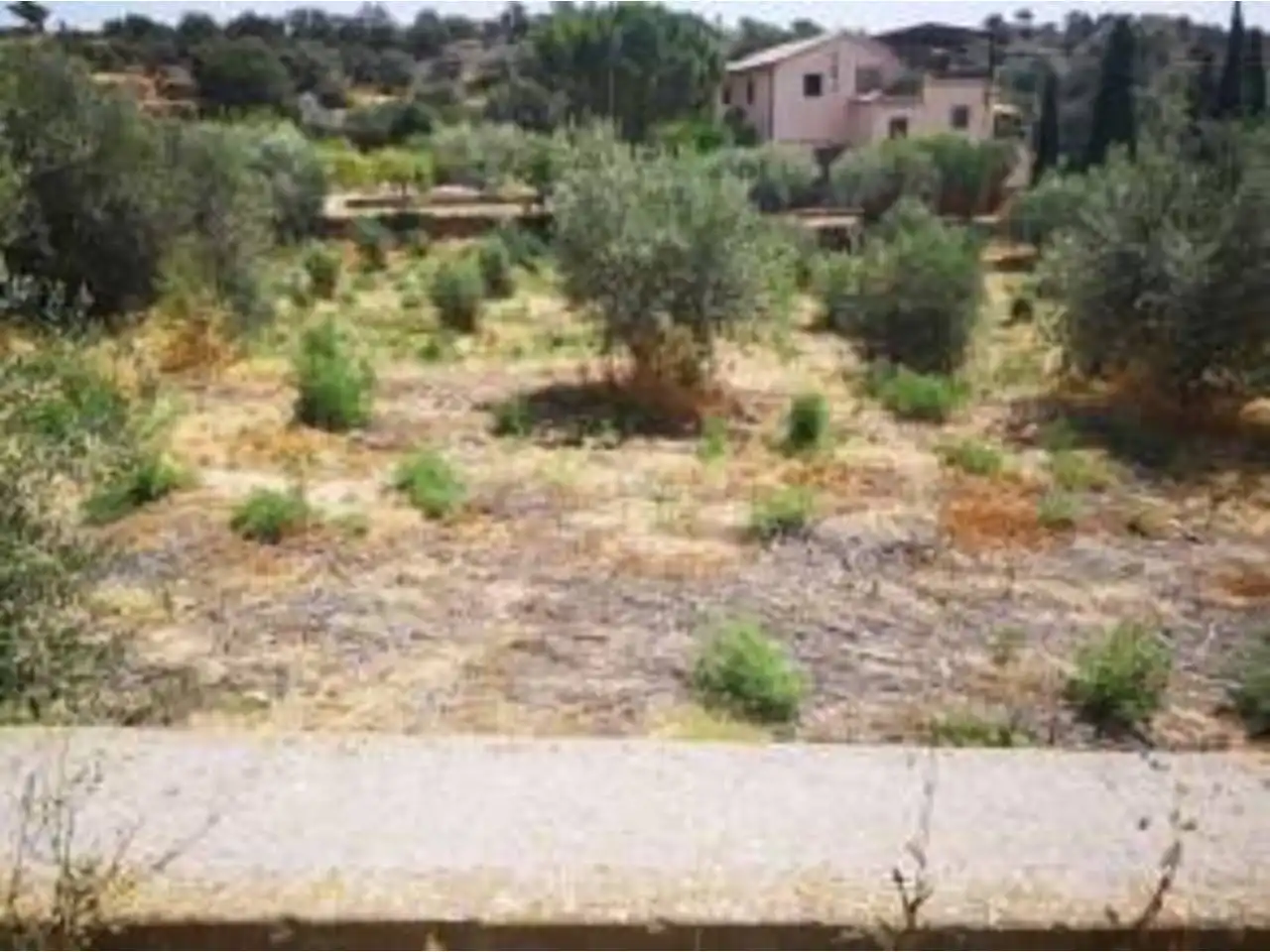 Industrial land for sale in Azlor