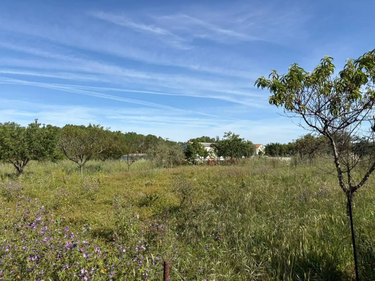 Terreno residenziale in vendita a Ciudad Rodrigo, imagen 14