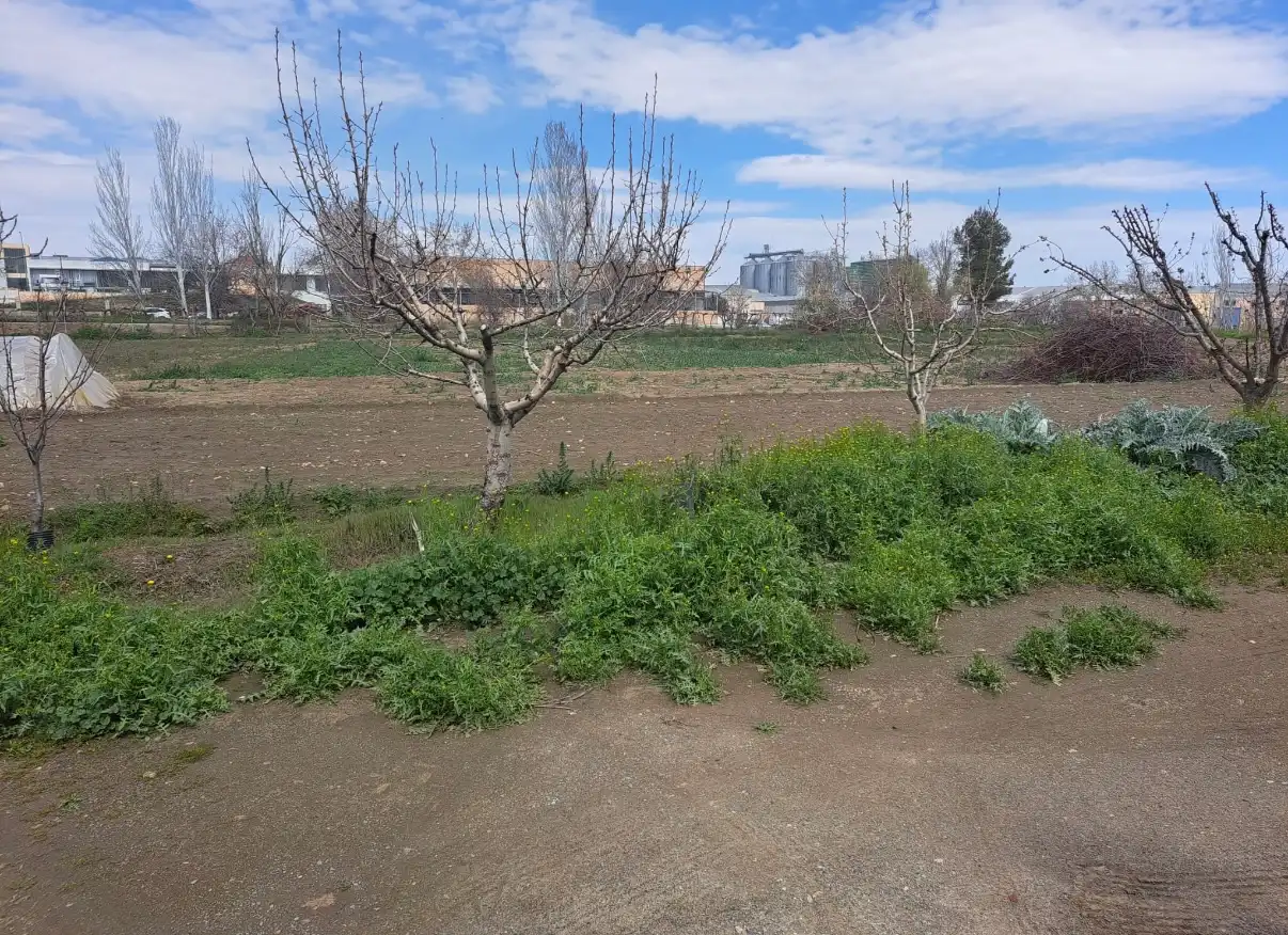 Rustikales Grundstück zum Verkauf in Guadix, imagen 10