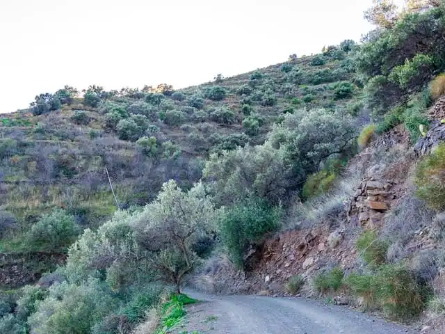 Terreni e lotti in vendita a Torrox Pueblo, imagen 5