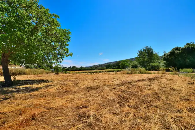 Casa rústica amb terrassa en venda a Partidas Norte, imagen 4