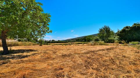 Photo 4 of Country house for sale in Partidas Norte, Málaga