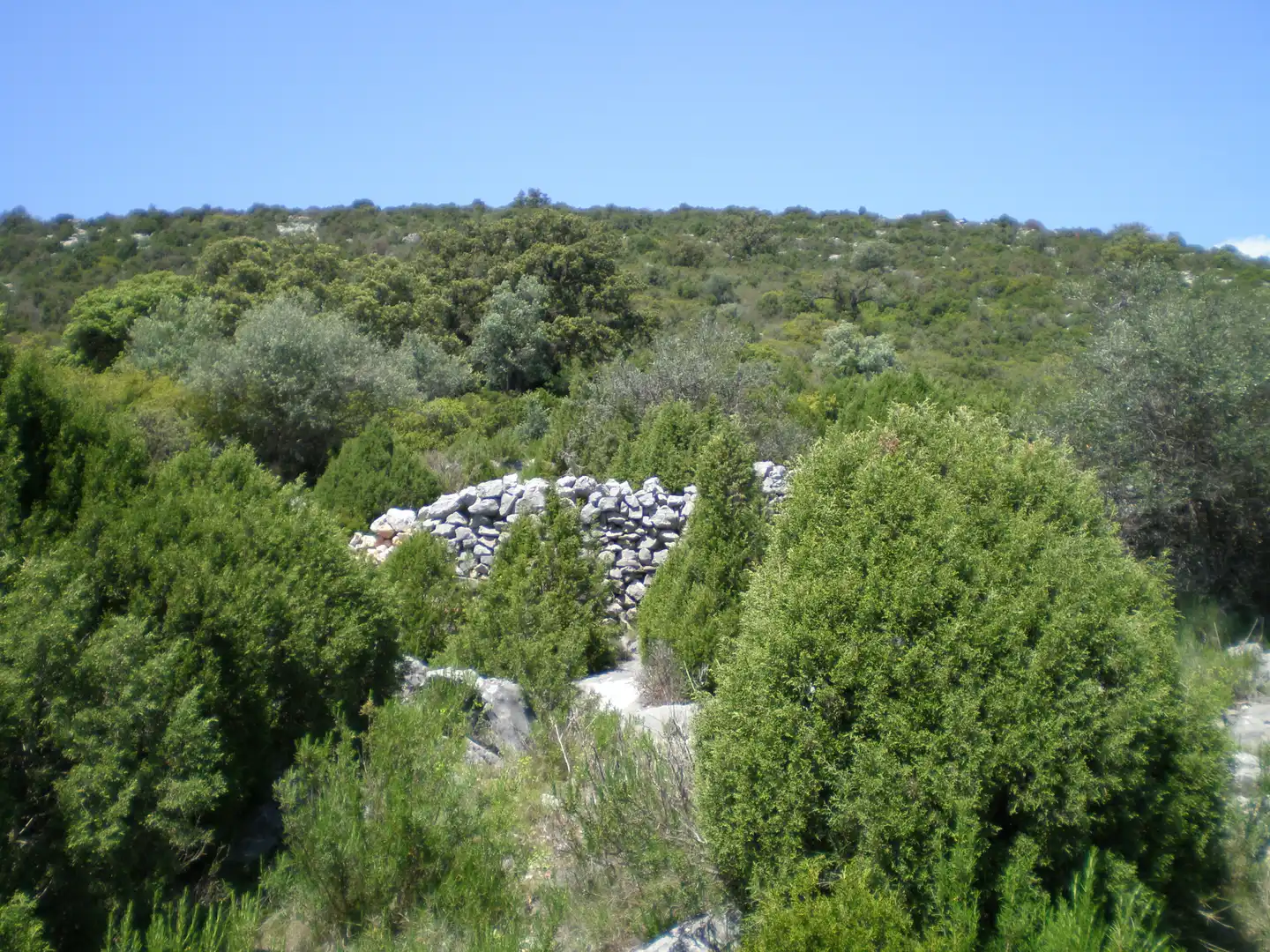 Finca rústica en venta en Culla