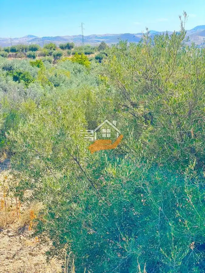 Residential land for sale in Vélez-Rubio, imagen 11
