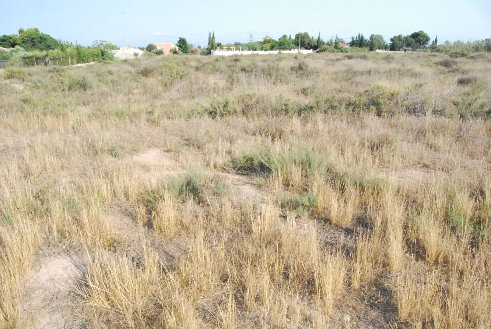 Rural land for sale in Villamontes - Boqueres, imagen 5