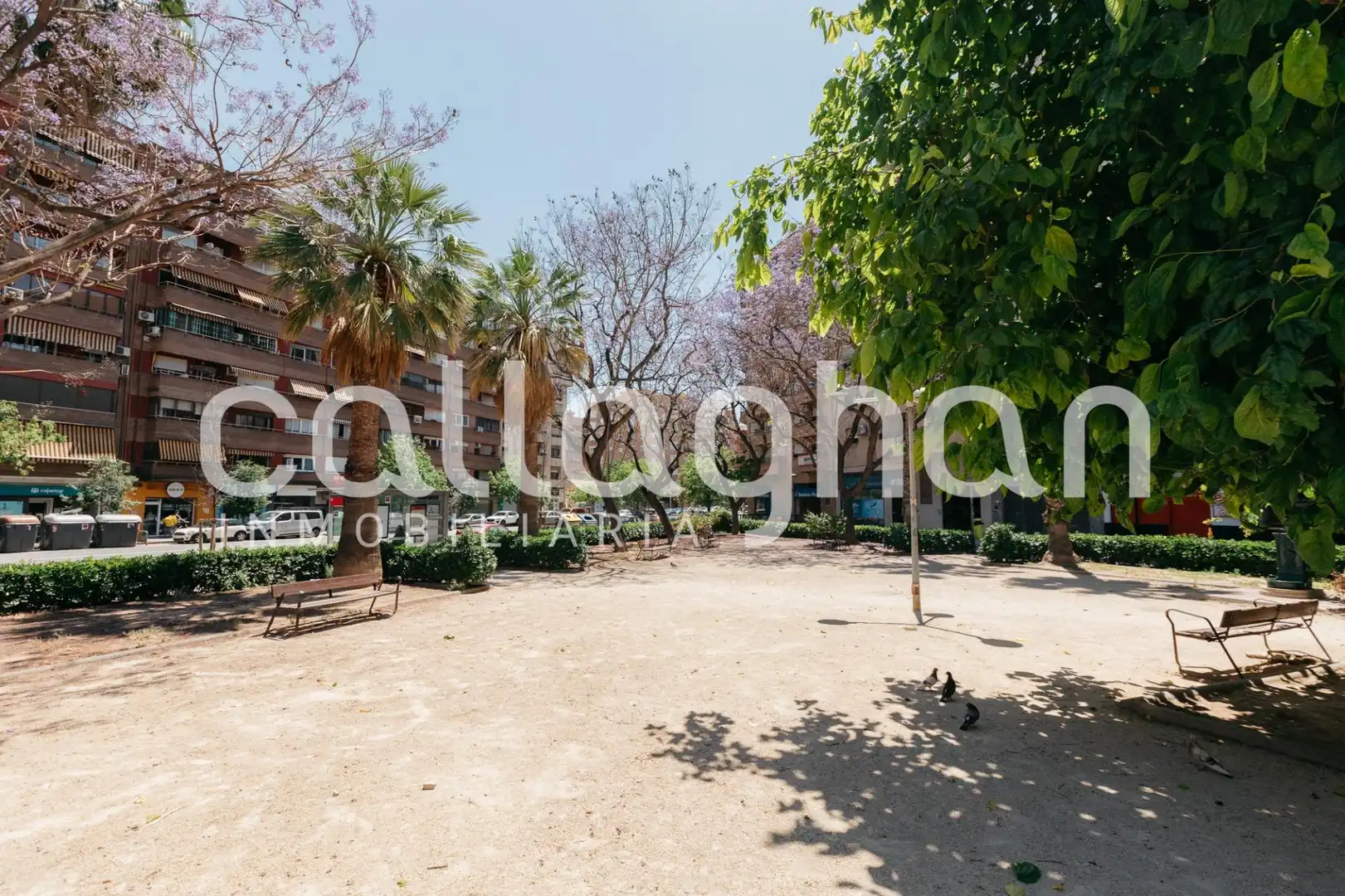 Local en venta en Calle LEOPOLDO PILES ROS, Vara de Quart