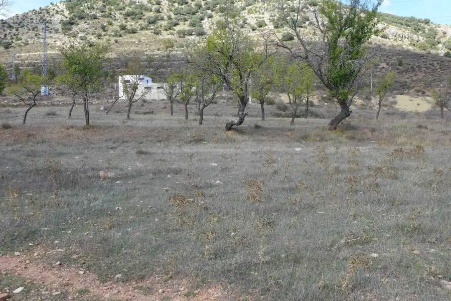Terrenys i solars en venda a Cañete, imagen 6