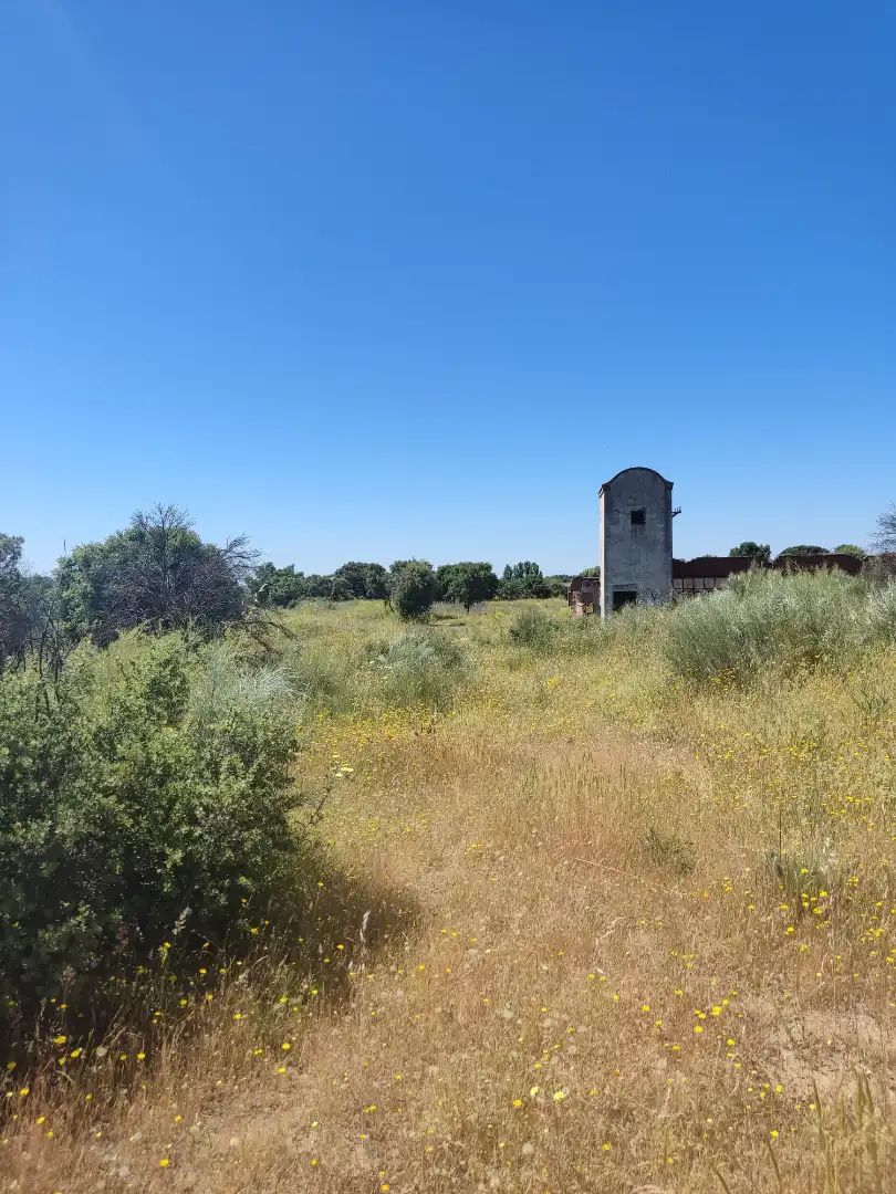 Land for sale in Navalcarnero