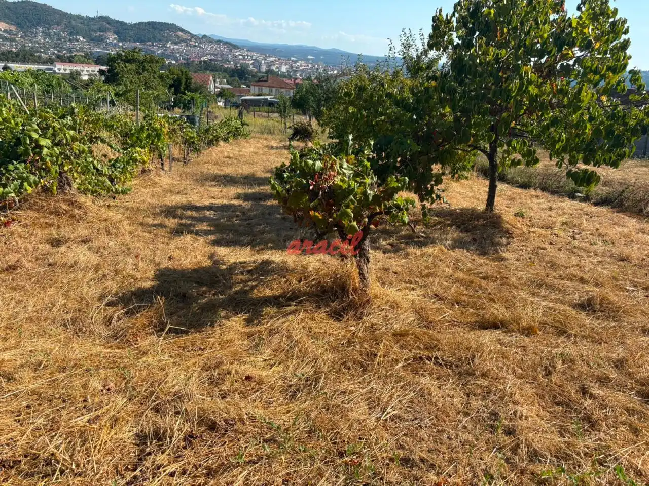 Casa o chalet en venta en Ourense Capital  con Jardín privado, Terraza y Amueblado