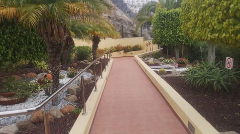 Foto 3 de Piso de alquiler en Baleares, Torviscas Centro y Alto, Adeje