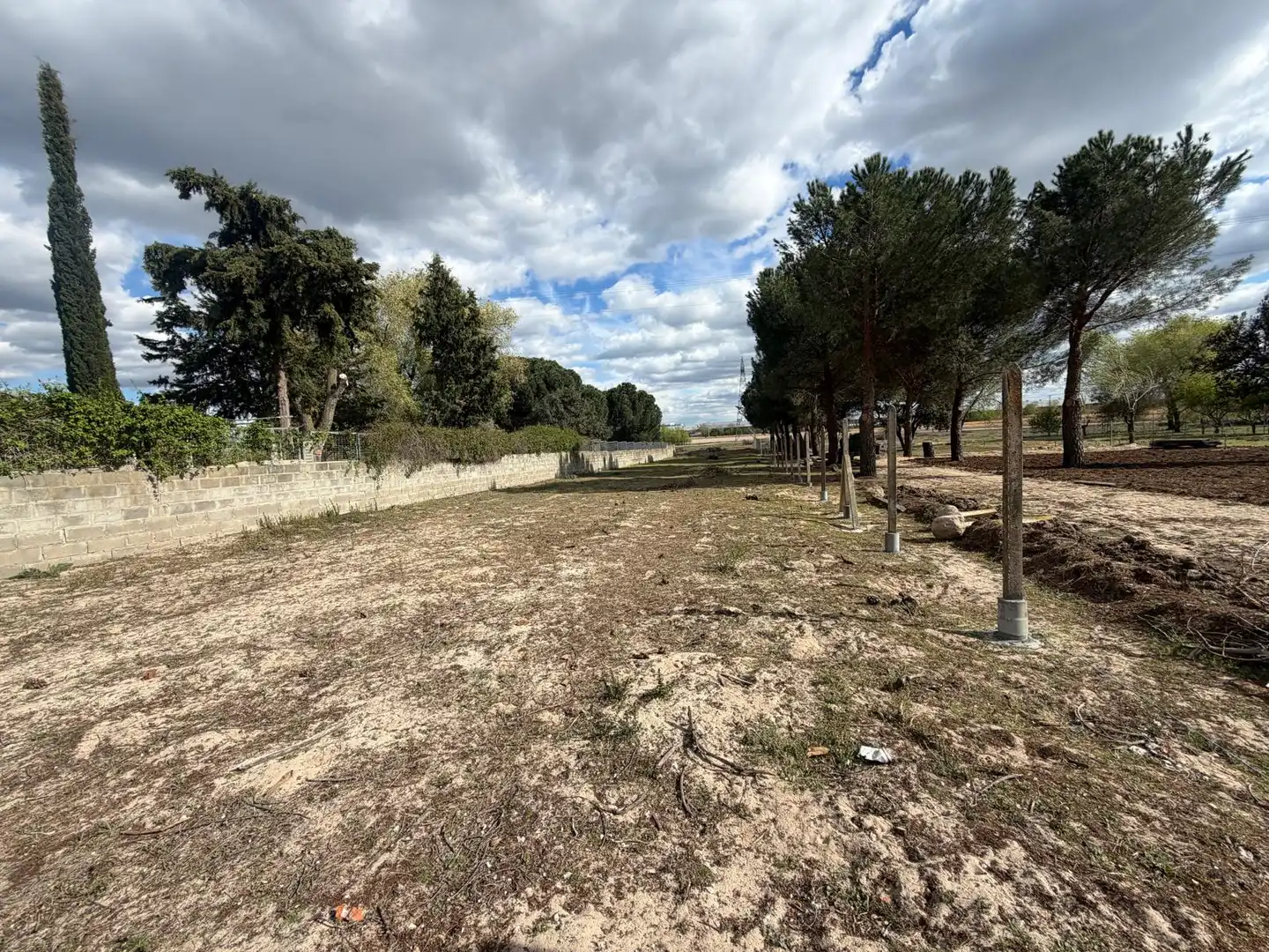 Terreno rustico in vendita a Diseminado Diseminados, imagen 3