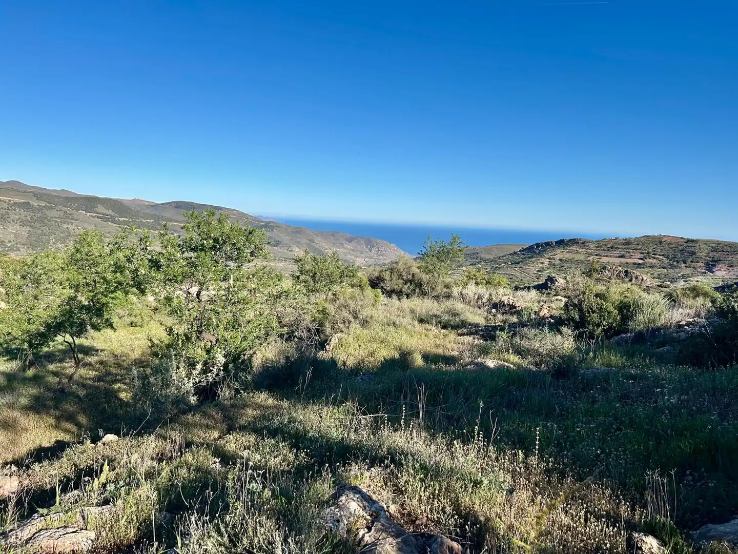 Land for sale in Felix