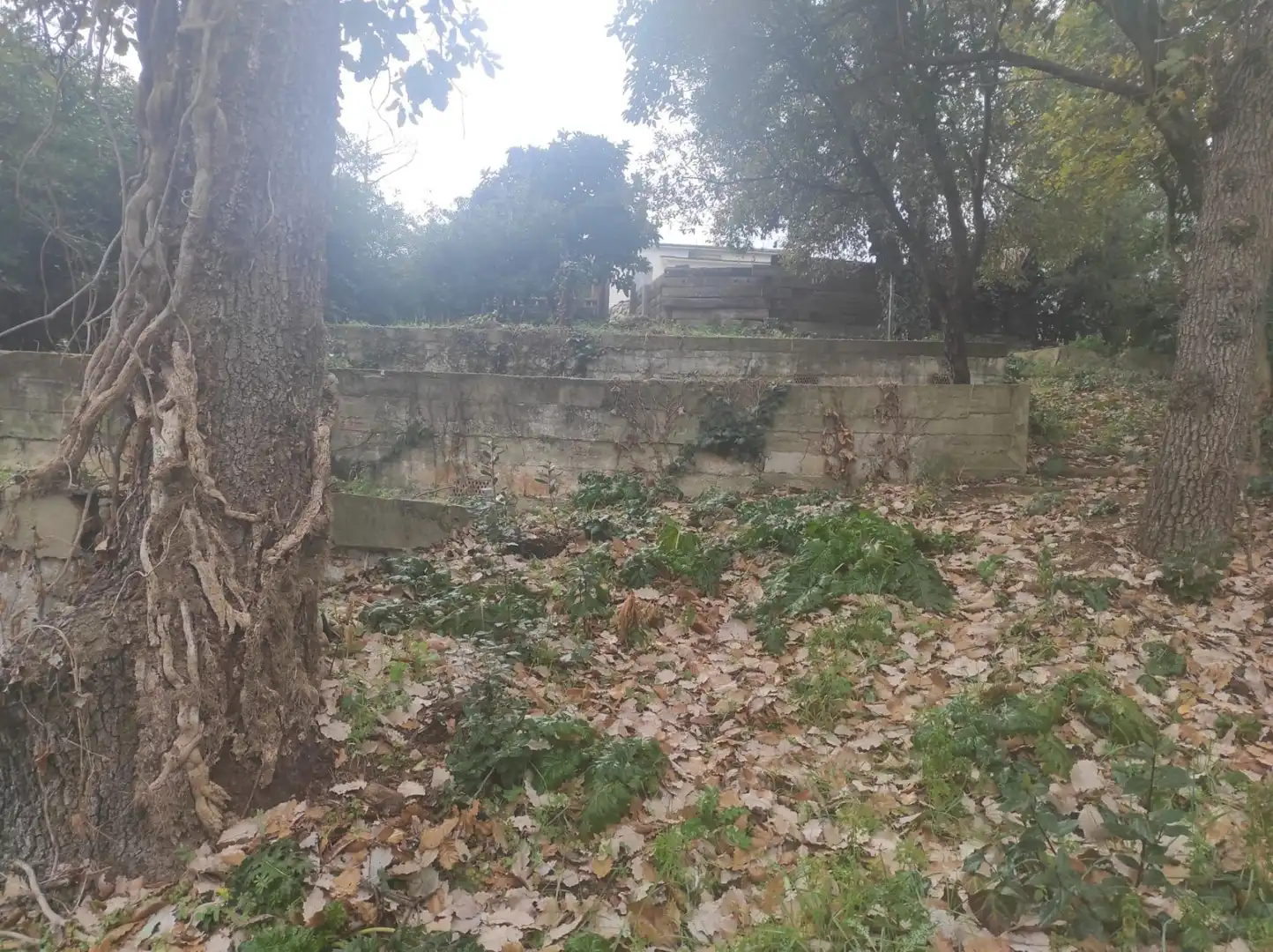 Residencial en venta en Riells i Viabrea