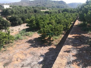 Rustikales Grundstück zum Verkauf in Oliva pueblo