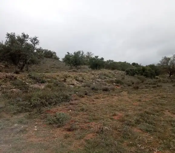Rustikales Grundstück zum Verkauf in Villarejo de Salvanés, imagen 6