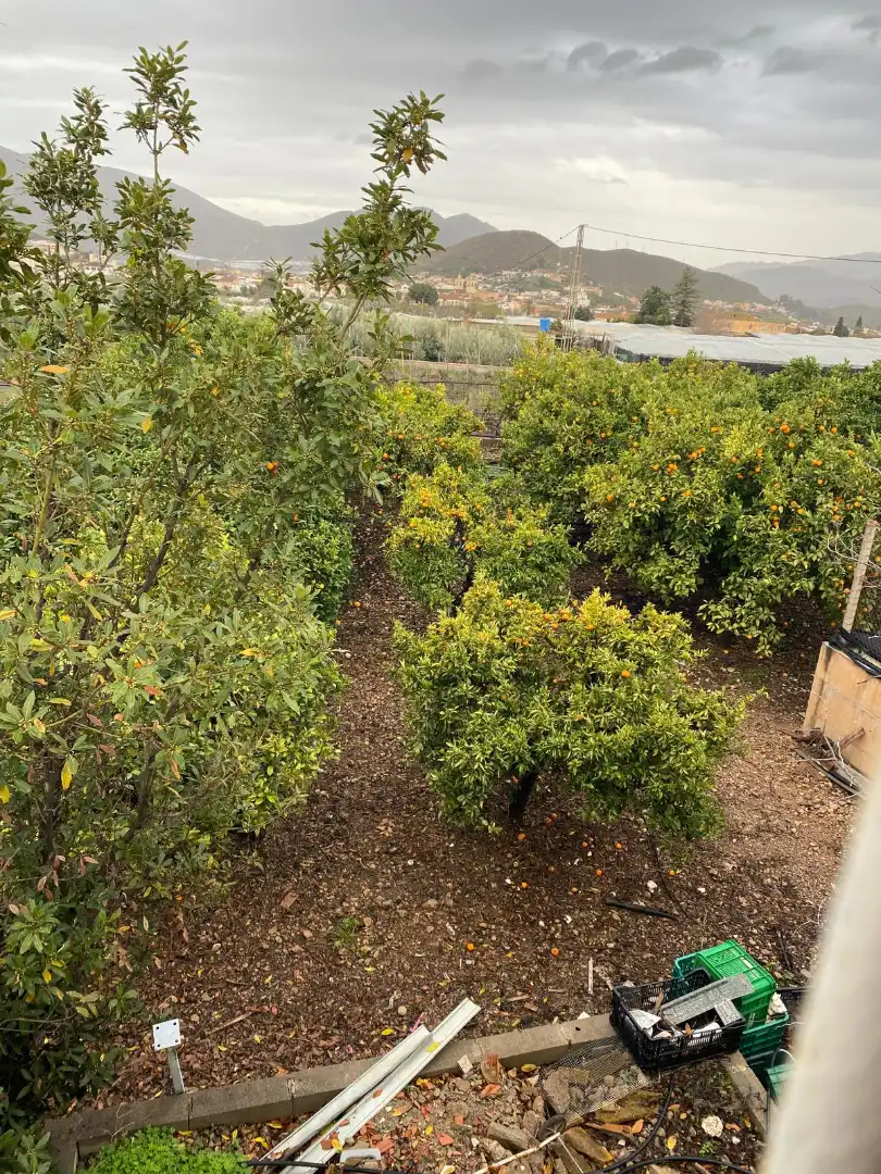Jardín de Terreno en venta en Berja