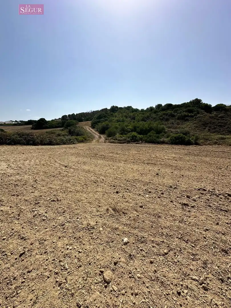 Rural land for sale in Conil, imagen 6