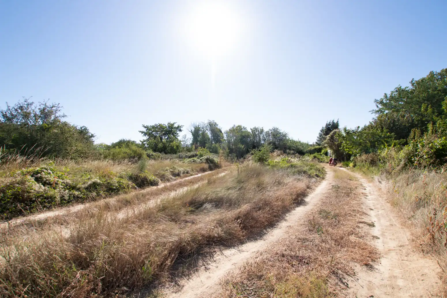 Land for sale in Tafalla - PARAJE MAKOTXA, Tafalla