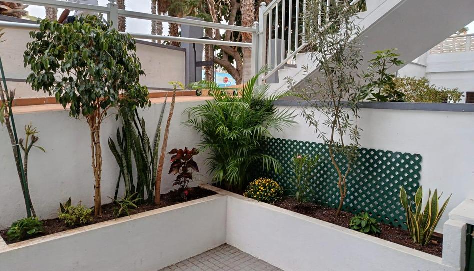 Photo 1 of Study for sale in Calle del Doctor Ingram, 29a, Playa Jardín, Santa Cruz de Tenerife