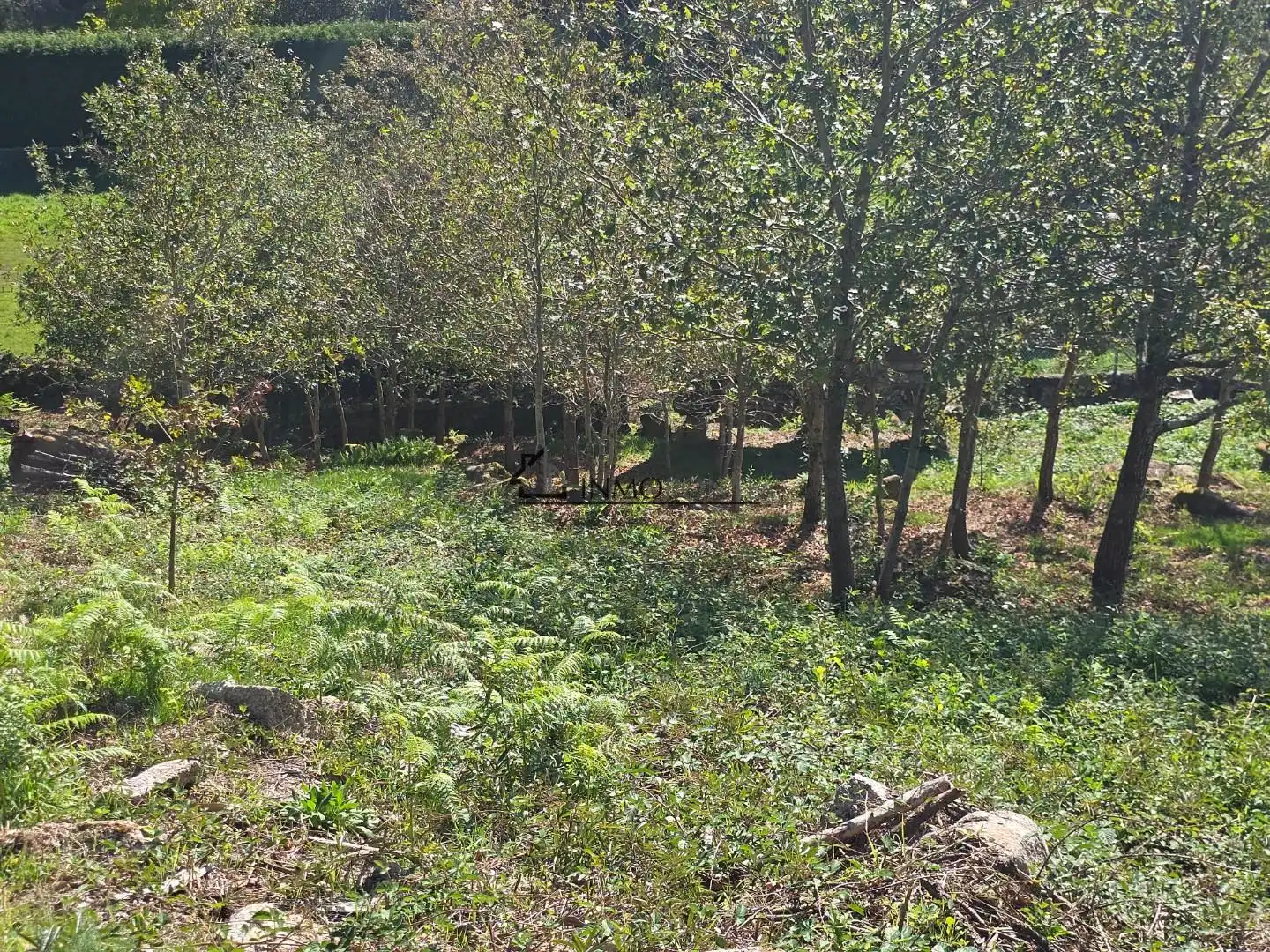 Terrenys i solars en venda a Cotobade, imagen 10