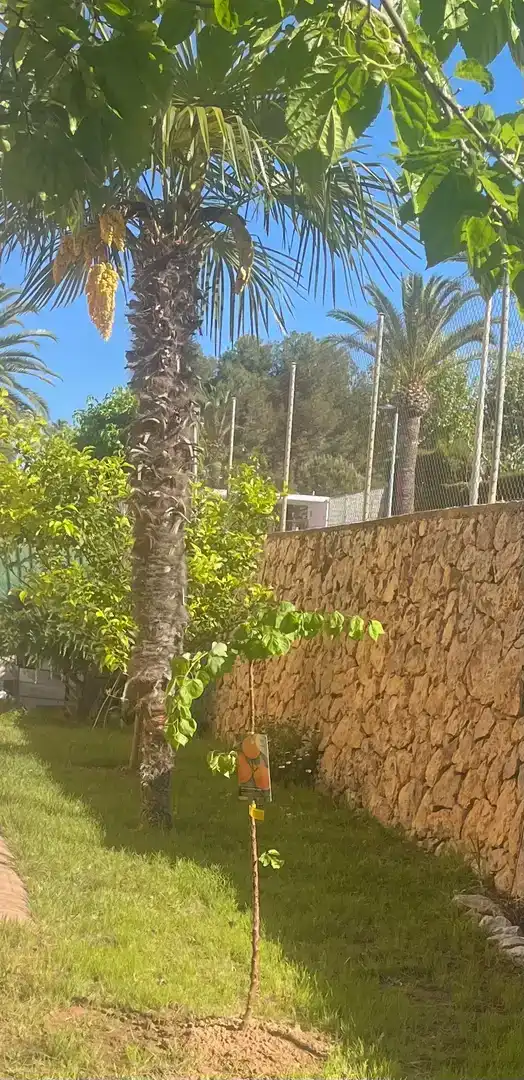 Casa o chalet en venta en Carlet con Aire acondicionado y Balcón