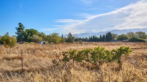 Photo 4 of Land for sale in La Paz,  Granada Capital