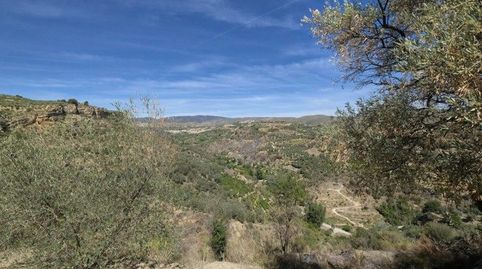 FINCA DE REGADÍO EN SALERES, immagine 5