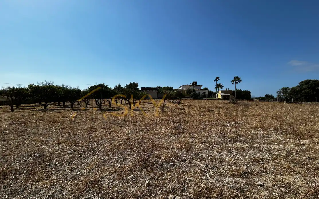 Terrain rustique à vendre à Diseminado Poligono 9 278, imagen 3