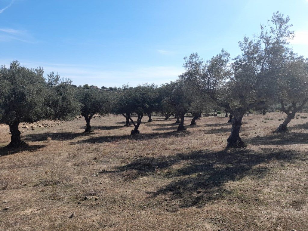 Casa o xalet en venda en San Vicente de Alcántara