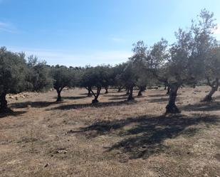 House or chalet for sale in San Vicente de Alcántara