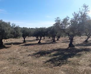 Finca rústica en venda en San Vicente de Alcántara