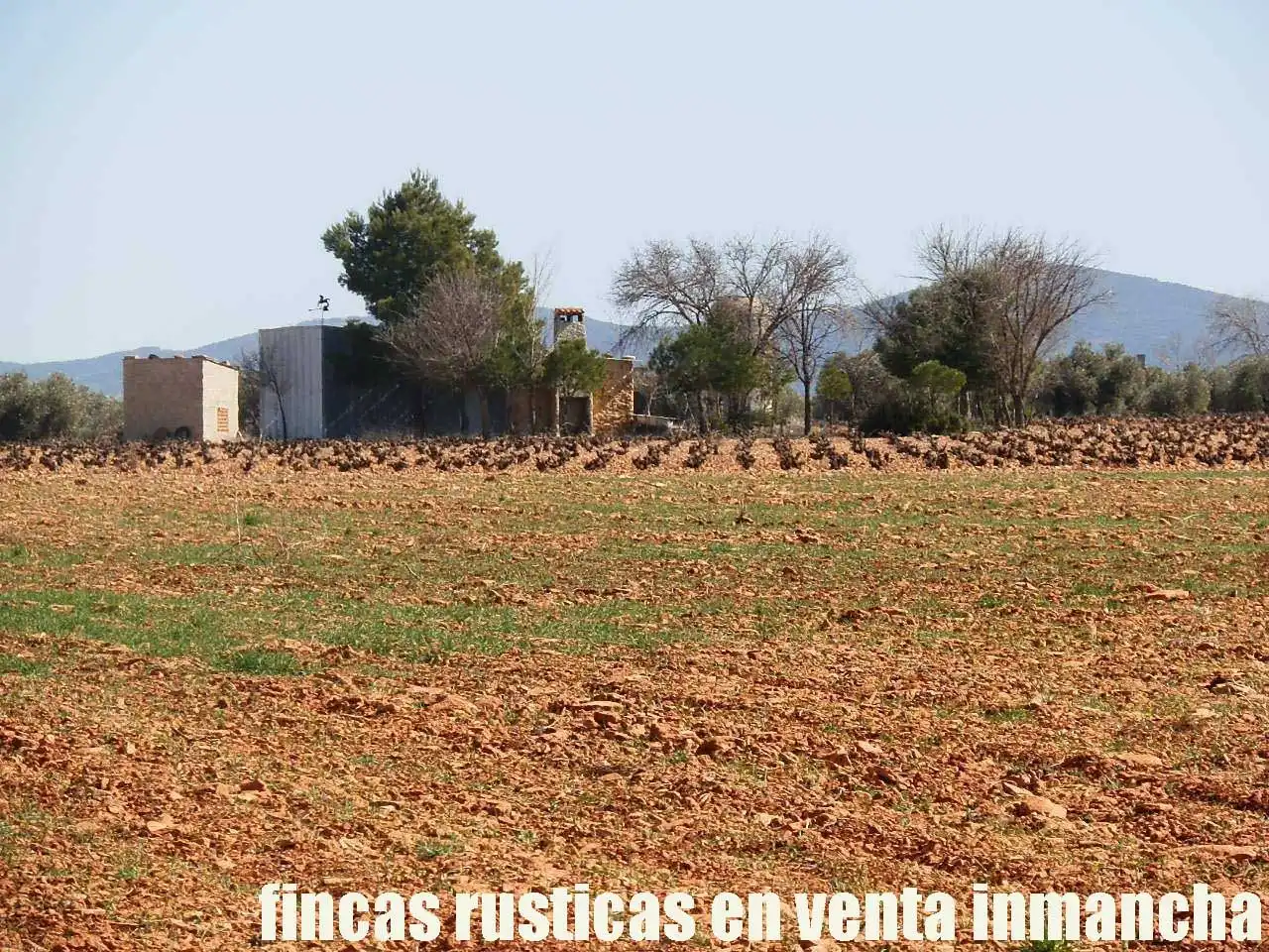 Rural land for sale in Valdepeñas, imagen 4