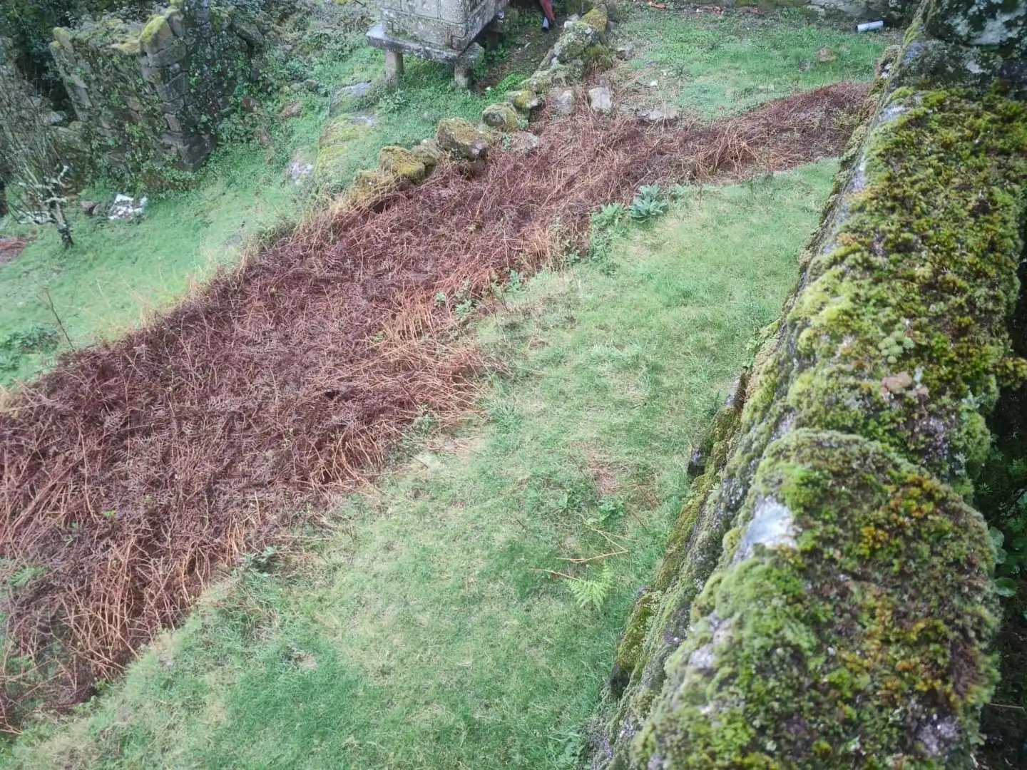 Terreno rustico in vendita a Ponte Caldelas, imagen 21