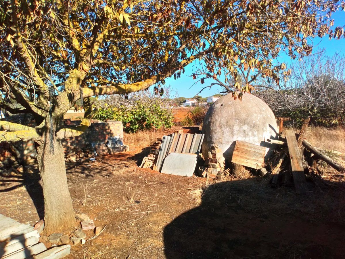 Jardí de Finca rústica en venda en Conil de la Frontera
