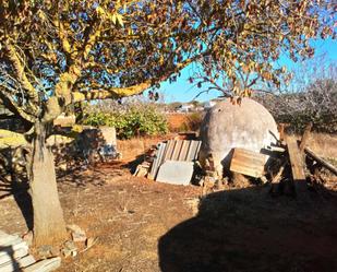 Jardí de Finca rústica en venda en Conil de la Frontera