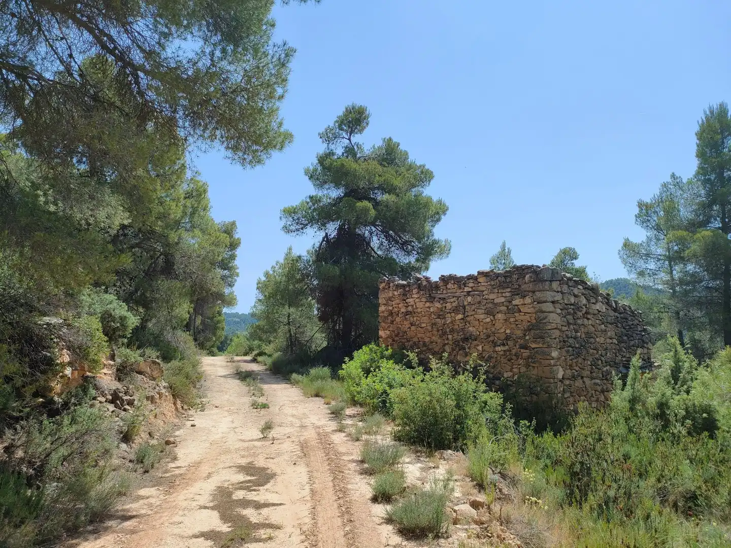 Terreni e lotti in vendita a La Portellada