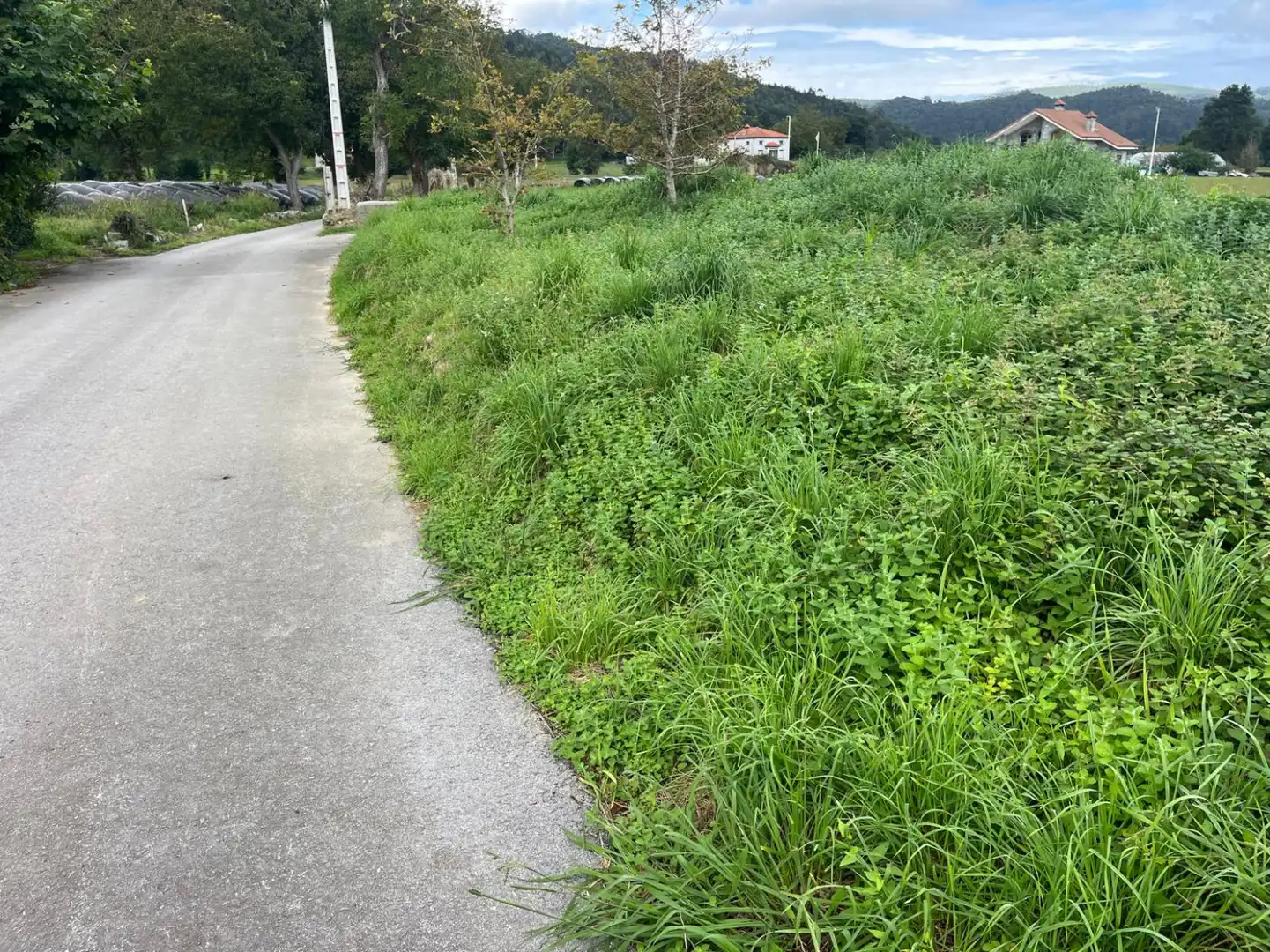 Land for sale in Solórzano