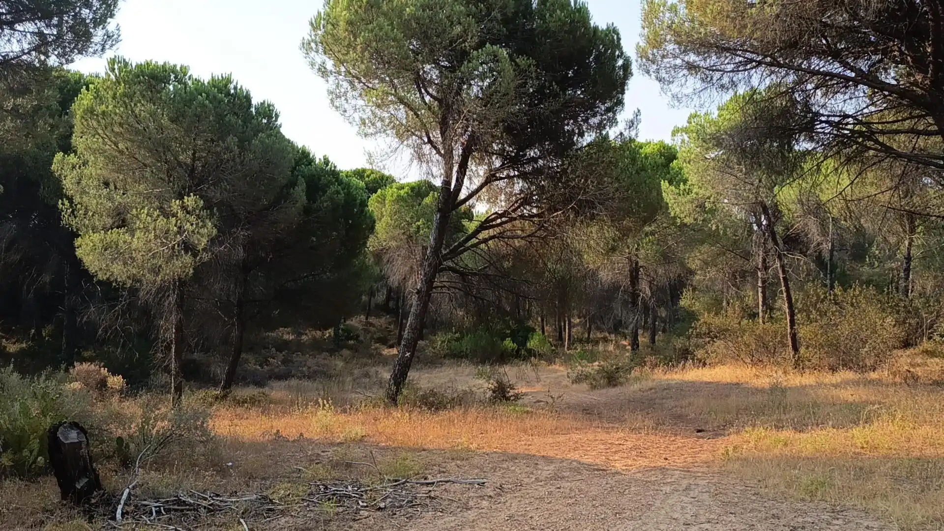 Terreno en venta en Villablanca