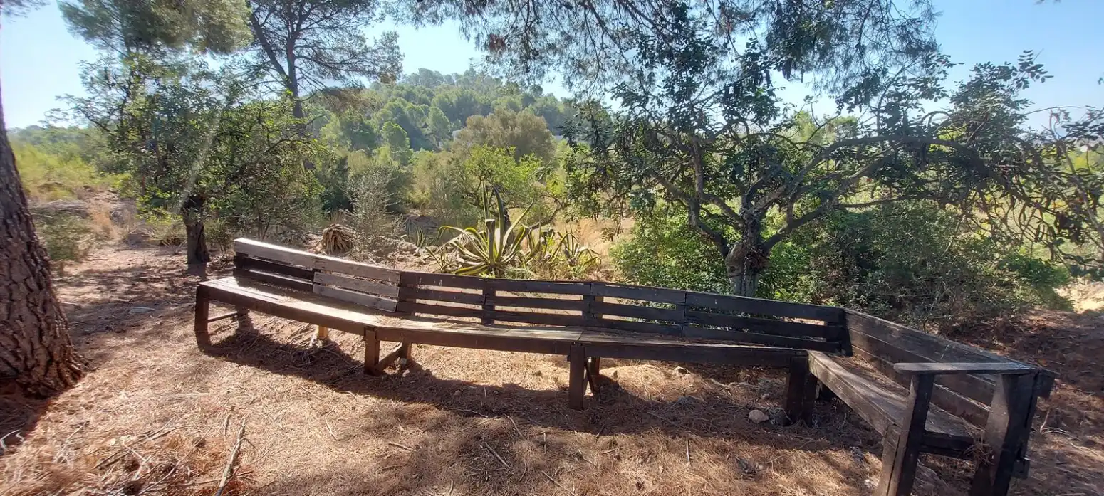 Jardí de Casa o xalet en venda en Alfara de la Baronia amb Terrassa
