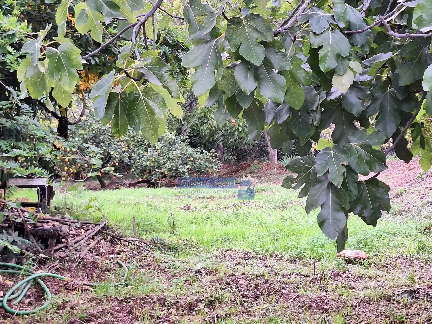 Terreni e lotti in vendita a Serra, imagen 5