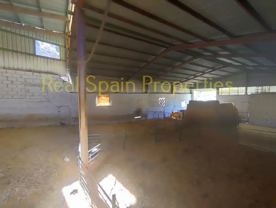 Local comercial en venda a Vélez-Rubio, imagen 35