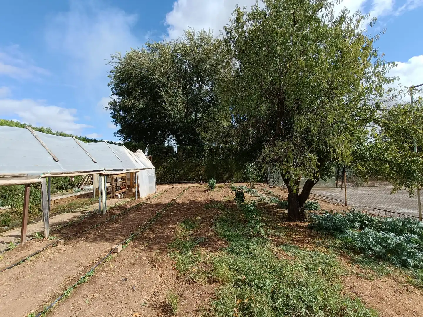 Casa o chalet en venta en Ciudad Real con Aire acondicionado, Jardín privado y Piscina