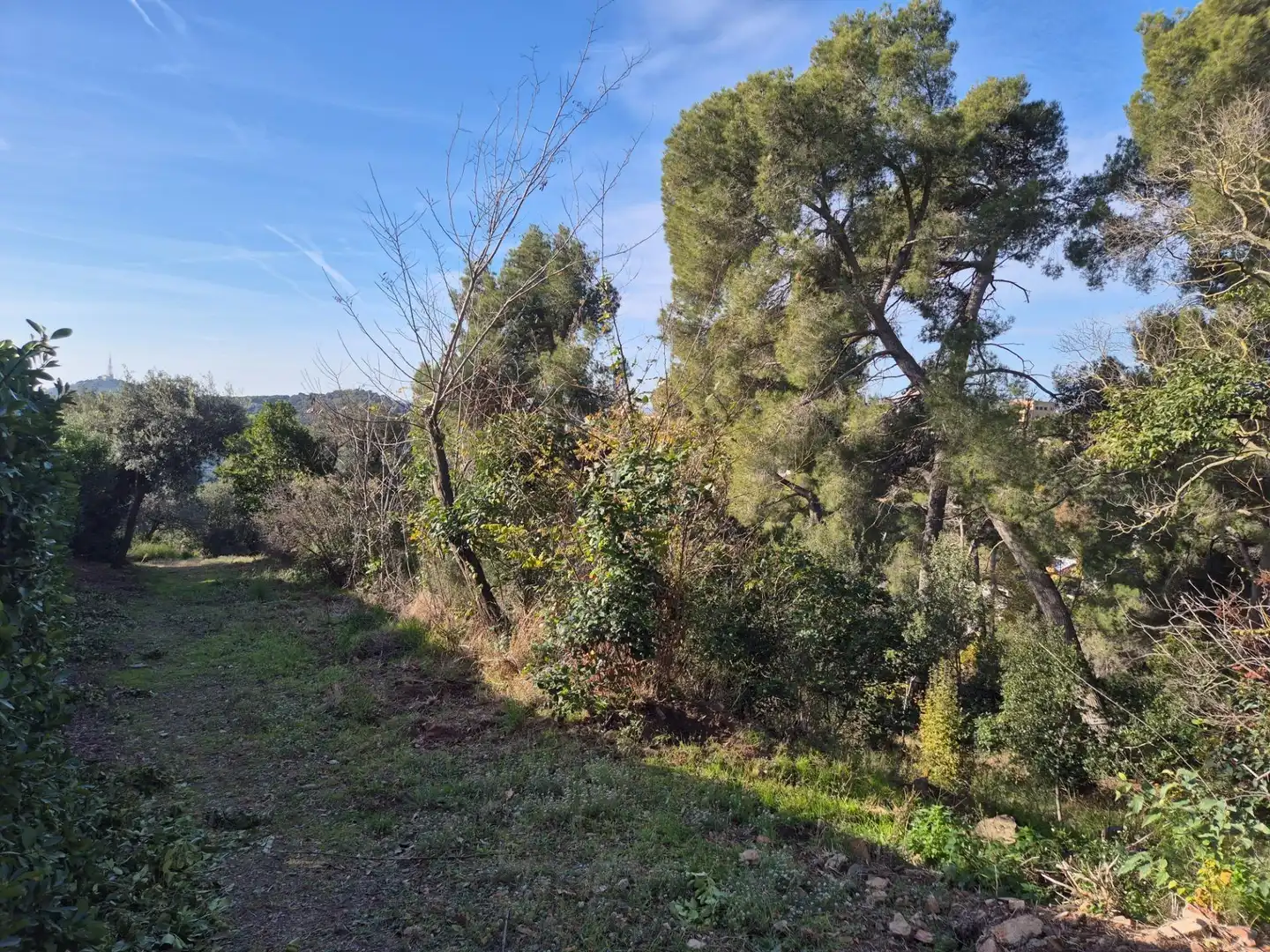 Planta baixa en venda en Barcelona