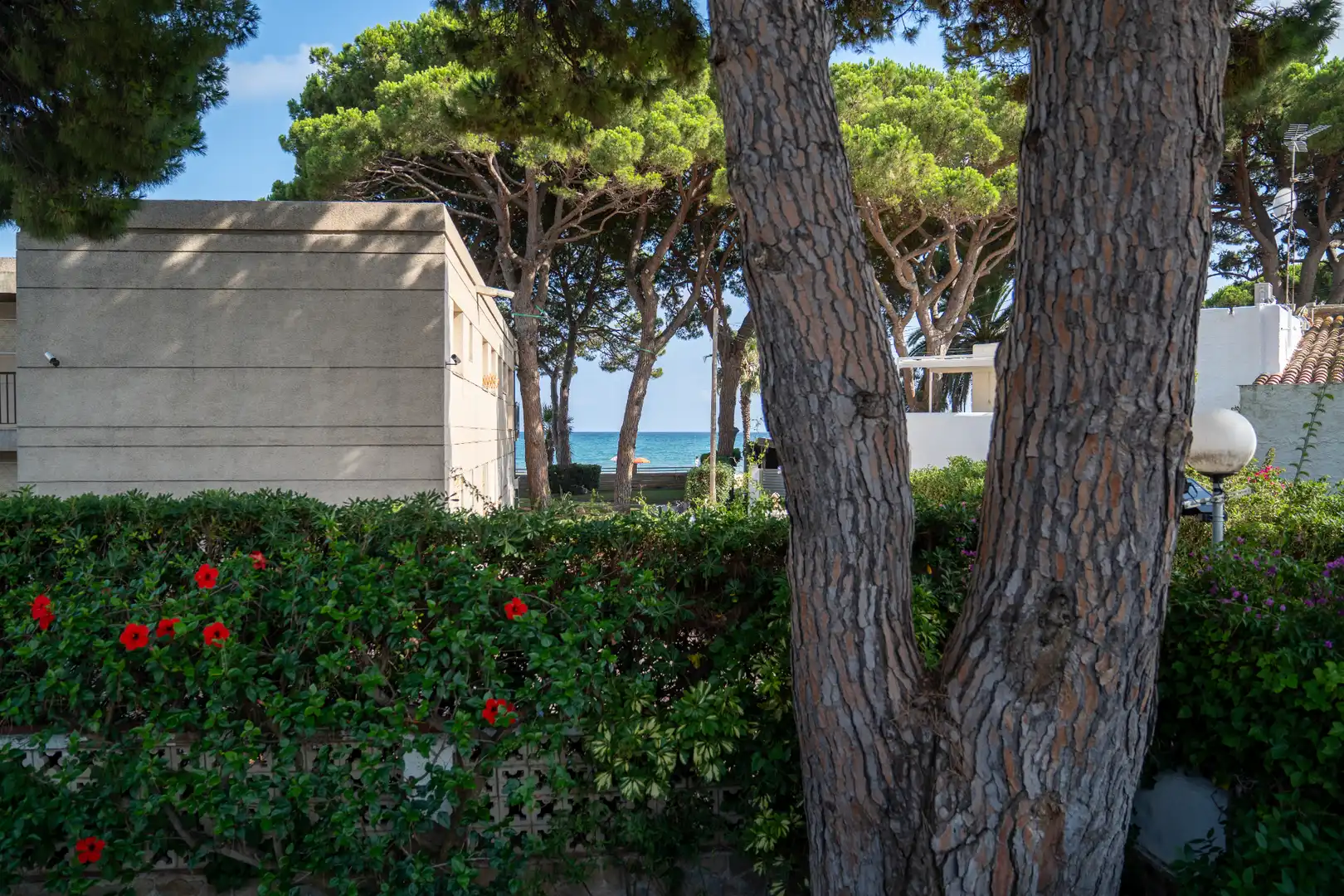 Jardín de Casa o chalet en venta en Cambrils con Aire acondicionado, Calefacción y Jardín privado