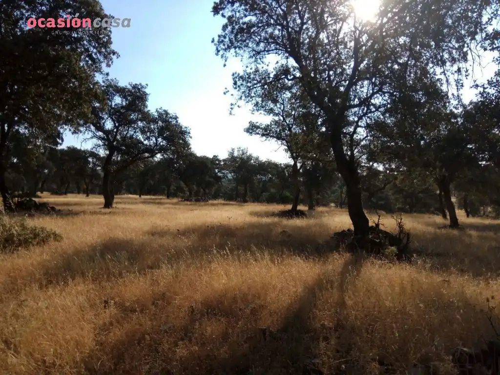 Country homes for sale in Torrecampo