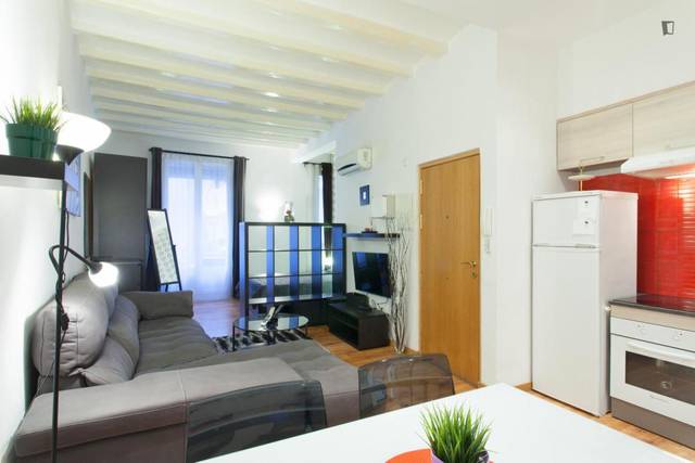 Estudio en Alquiler en El Raval
